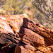 Watarrka National Park (Kings Canyon)