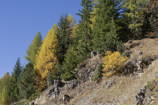 Hoch zum Stilfser Joch