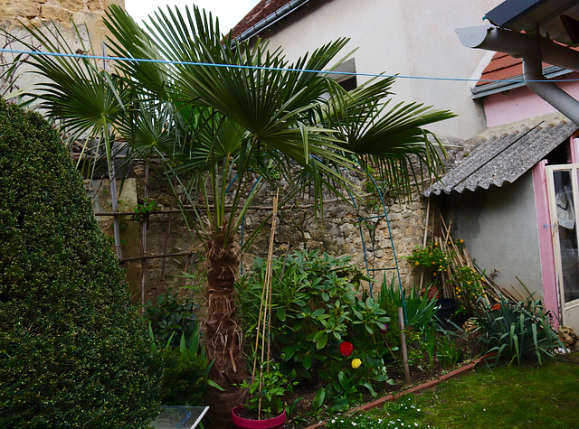 Ca pousse doucement