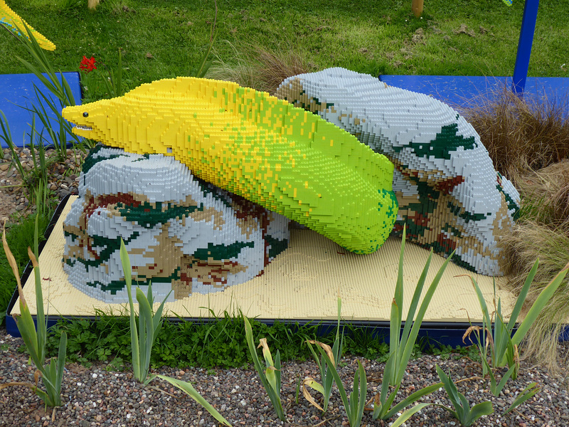 BRICKLIVE Ocean (20) - 2 August 2019