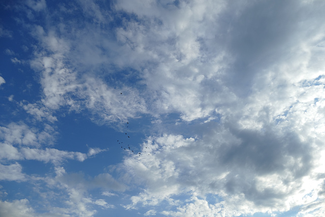 Himmel: wolkig mit kleinen Fliegern