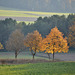 Goldener Oktober