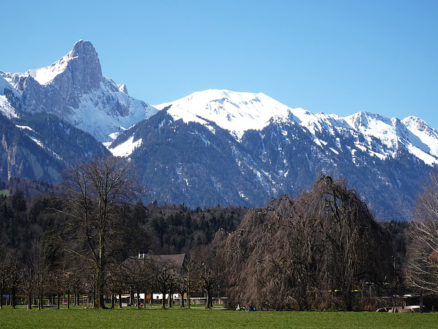 Alpenpanorama