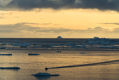 Disko Bay