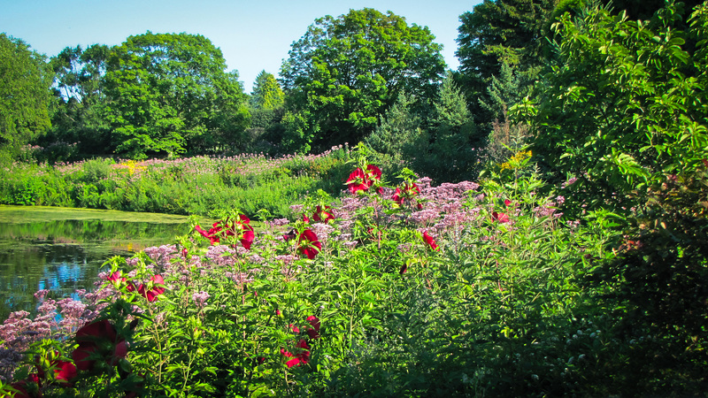 Lakeside Garden