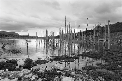 Serrania de Ronda