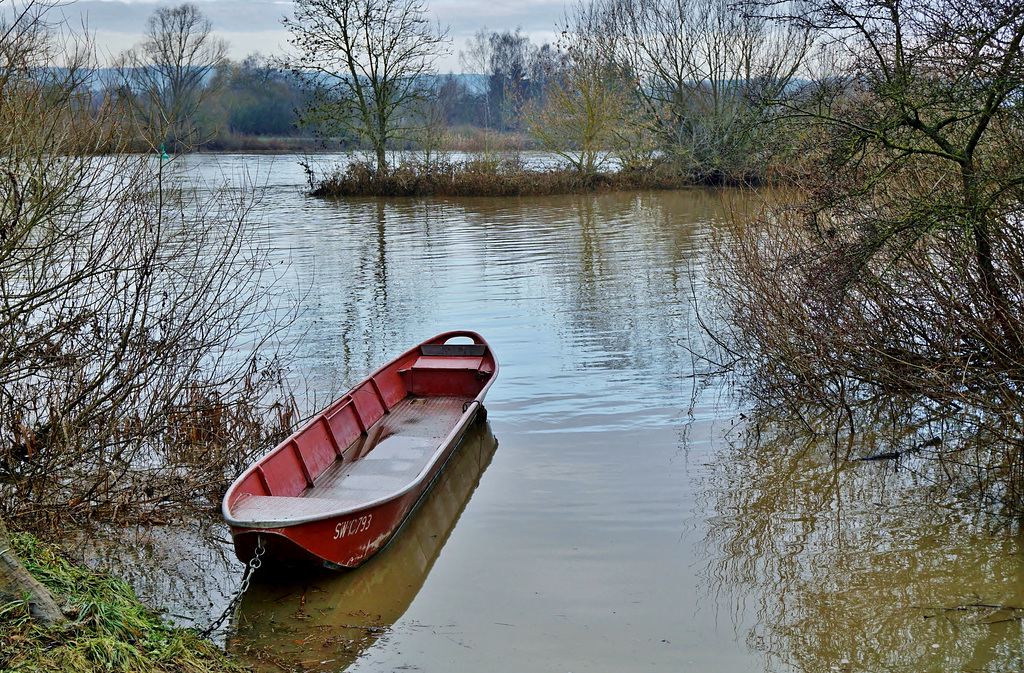 Nach dem Hochwasser ...  After the flood ...