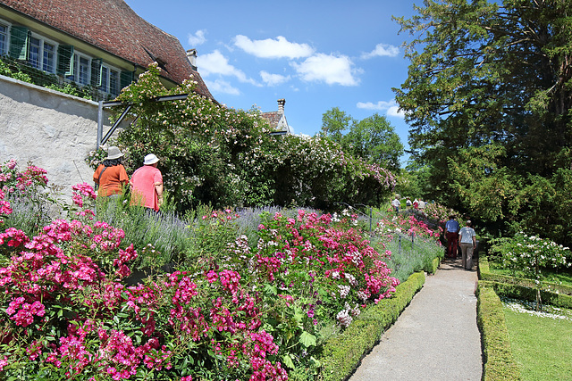 Kartause Ittingen - Der "Kartäuserweg" beim Prioratsgarten