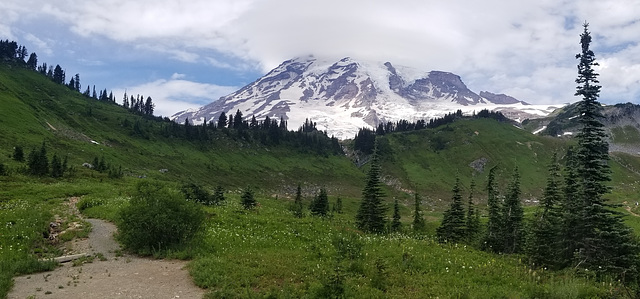 Mount Rainier