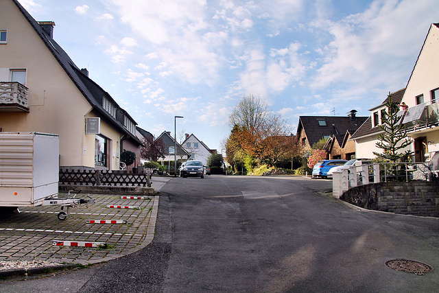 Mölleneystraße (Essen-Burgaltendorf) / 5.04.2025