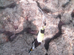PICT0428.JPG