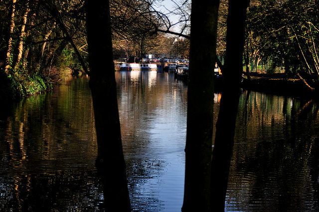 River Lea, Ware