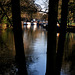 River Lea, Ware