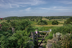 Ramsley Moor   /   Sept 2018