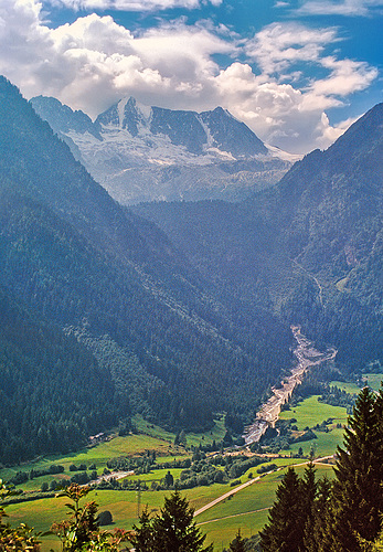 Cima Presanella (3556 m)