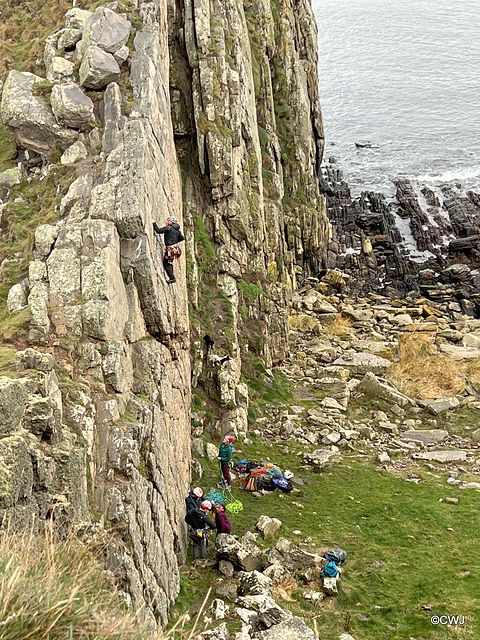 The hard way up the cliffs! Note the two young rock-climbing spaniels; they climbed right to the top up that narrow sloping ledge to meet their master at the top of his climb!