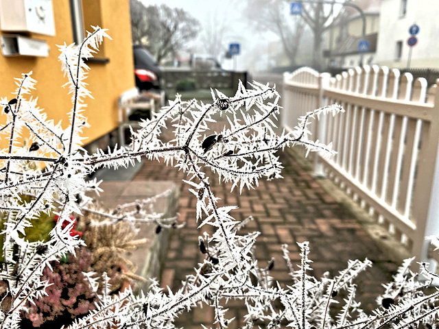 HWW - Die Zeit ist Reif für etwas Schnee ;))