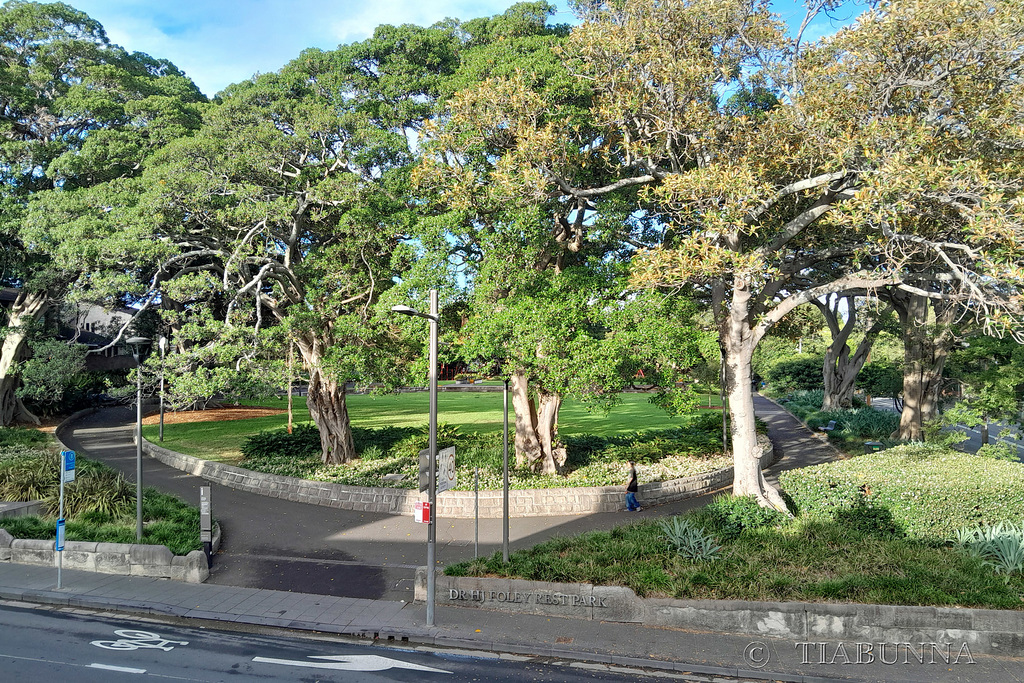 Sydney park and wall