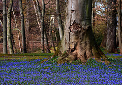 hFF...heute machen wir blau :)