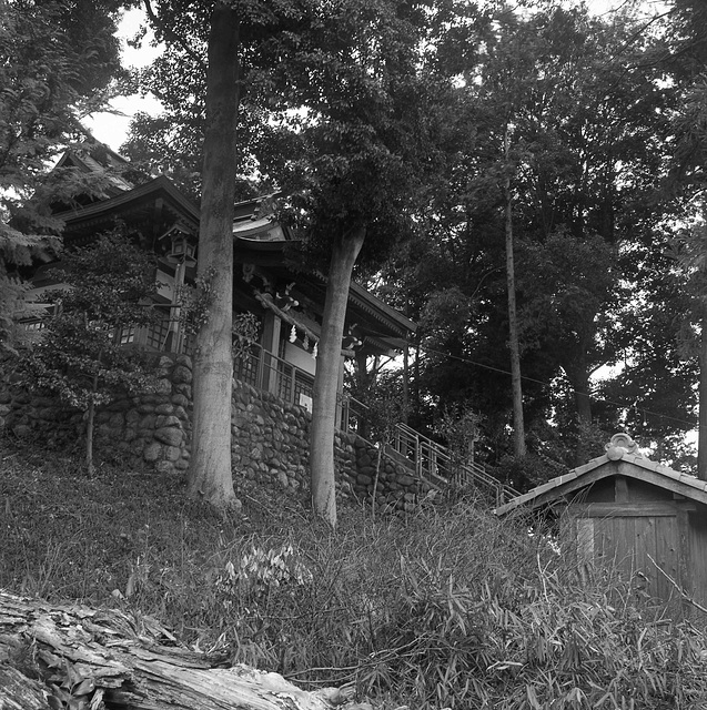 Shrine on the mound