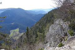 DSC05856