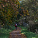 Oct 25: cycle path