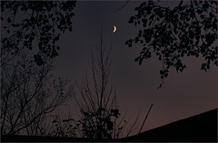 Moon over the neighbours' roof