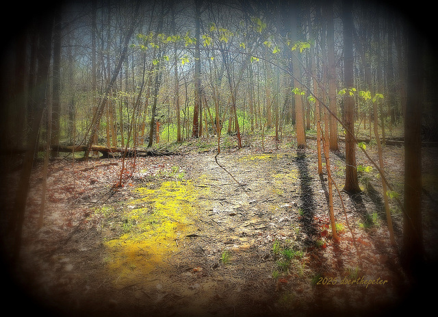 Sunday morning mist.