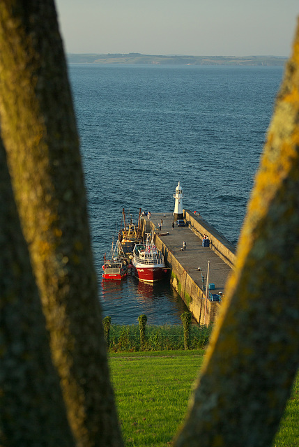 Evening Sunlight at Mevagissey Habour