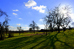 Long shadows