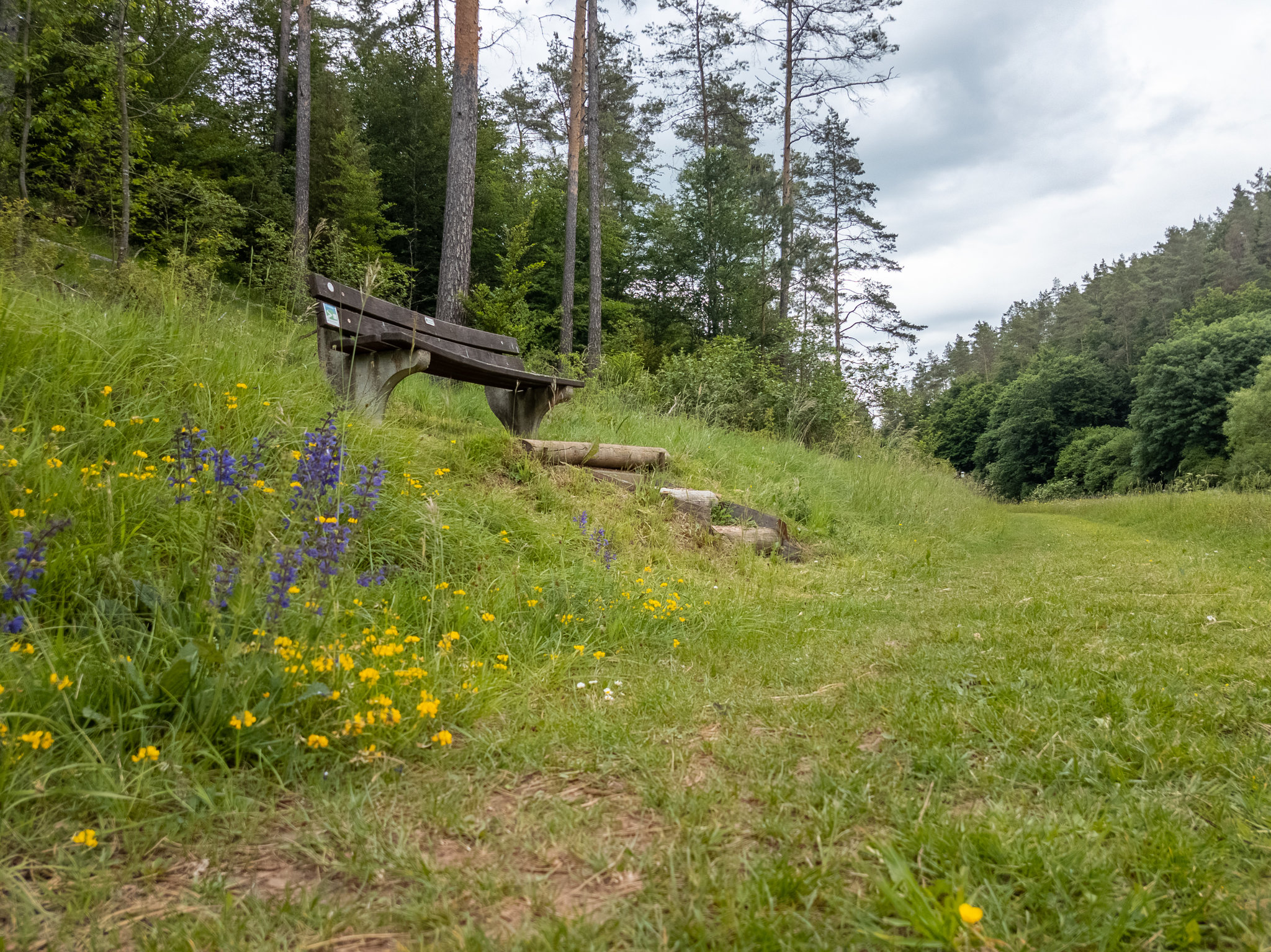Blankenheim - Lampertstal im späten Frühjahr