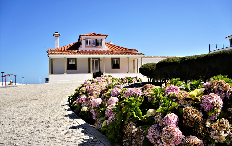 The House