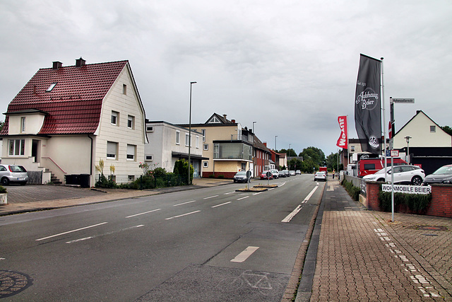 Werler Straße (Hamm) / 6.07.2024