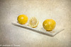 Lemon Still Life Oil Painting 062216-001
