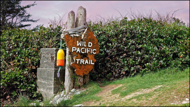 Walked this trail along the coast.