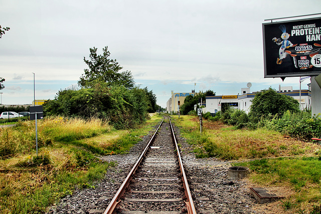 RLE-Bahnstrecke Hamm–Lippborg bei der B63 (Hamm) / 6.07.2024