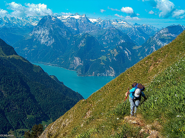 Vom Fronalpstock zum Klingestock