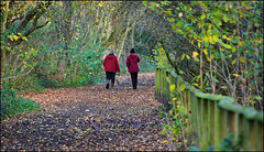 HFF.................