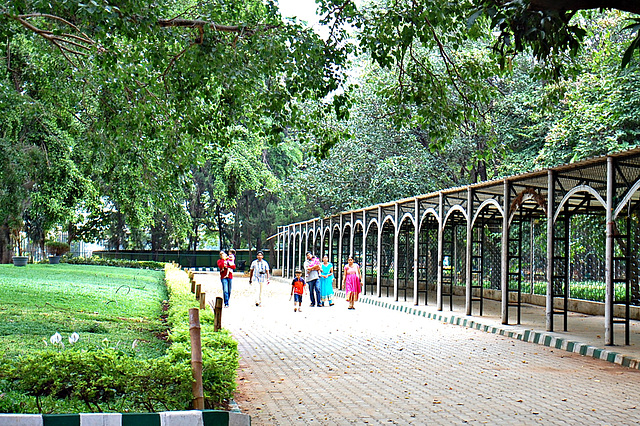 A View of Lalbagh, B'lore