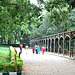 A View of Lalbagh, B'lore