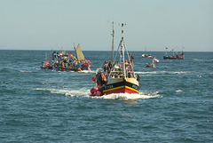 Boat race at Mevagissey