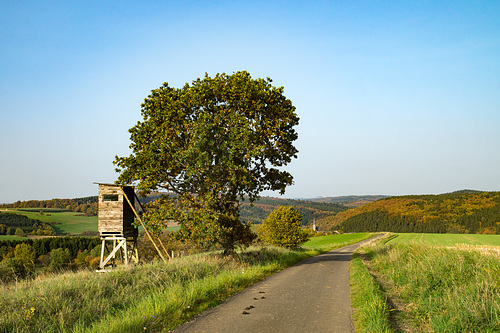 Ausblick vom Döhmberg