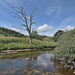 A River Wharfe sentinel