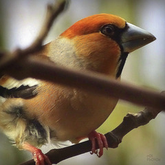 Beauté aux belles couleurs