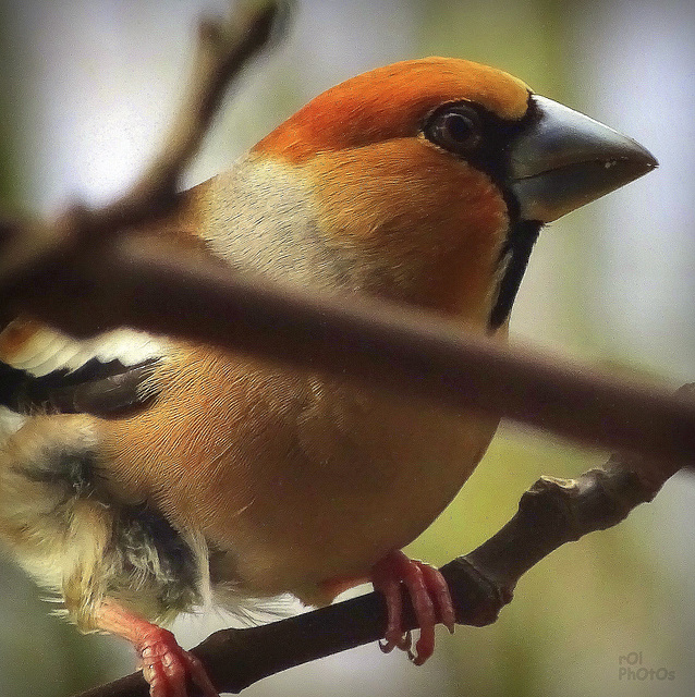 Beauté aux belles couleurs