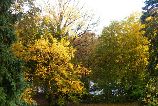 Blick aus unserem Fenster in Seedorf