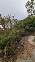 Détritus délictueux / Deliberate rubbish
