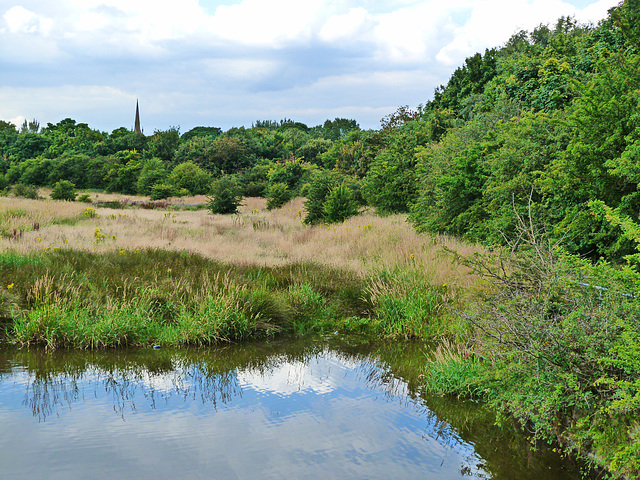 Green boundary