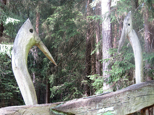 Vögel