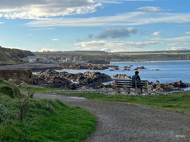 Cullen from the Coastal Trail